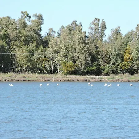 Affittacamere Blue Sea 3*